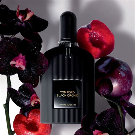 tom ford sandigliano